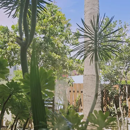 Cactus House
