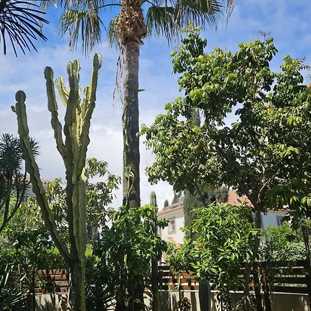 Cactus House * Βορόκλινη